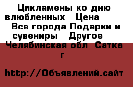 Цикламены ко дню влюбленных › Цена ­ 180 - Все города Подарки и сувениры » Другое   . Челябинская обл.,Сатка г.